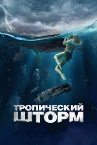  Рекуин  2022