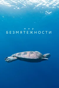 (2020)