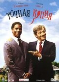  Точная копия  1981