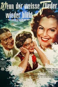  Когда цветет белая сирень  1953