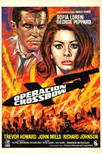  Операция «Арбалет»  1965