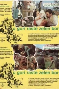  На горе растет зеленая сосна  1971