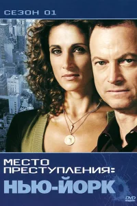  CSI: Место преступления Нью-Йорк  2004