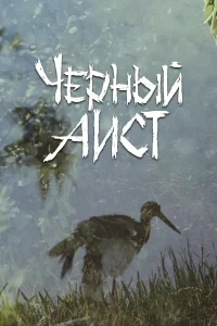  Черный аист  1993