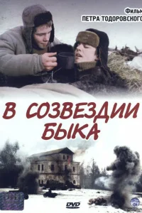  В созвездии быка  2003