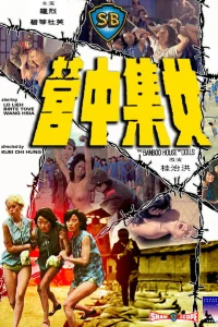  Бамбуковый дом кукол  1973