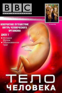  BBC: Тело человека  1998