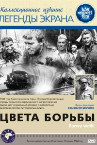  Цвета борьбы  1964