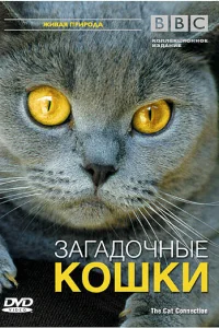  BBC: Загадочные кошки  2002
