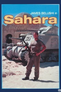  Сахара  1995