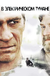  В электрическом тумане  2009