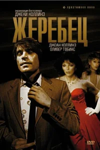  Жеребец  1978