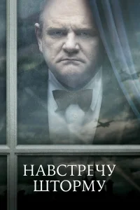  Навстречу шторму  2009