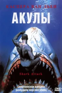  Акулы  1999