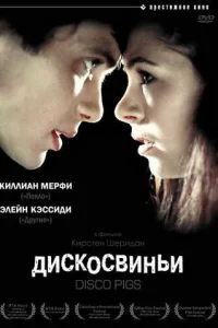  Дискосвиньи  2001