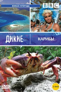  BBC: Дикие Карибы  2007