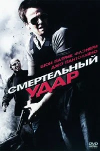  Смертельный удар  2010