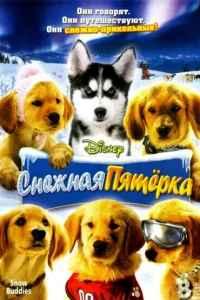  Снежная пятерка  2008