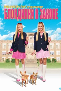  Блондинки в законе  2009