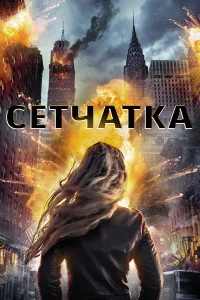  Сетчатка  2017