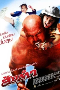  Сомтум  2008