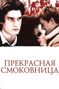  Прекрасная смоковница  2008