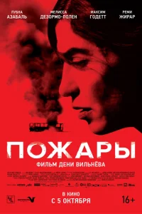  Пожары  2010