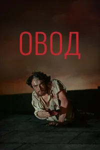  Овод  1955