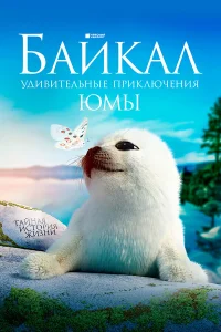  Байкал. Удивительные приключения Юмы  2019