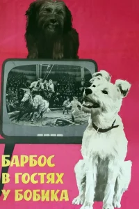  Барбос в гостях у Бобика  1964