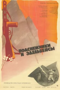  Подснежники и эдельвейсы  1982