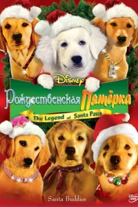  Рождественская пятерка  2009