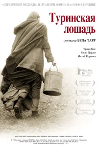  Туринская лошадь  2011