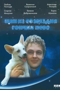  Щен из созвездия «Гончих псов»  1991