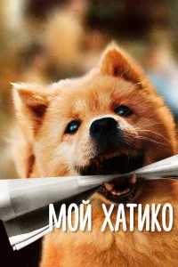  Мой Хатико  2023