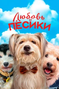  Любовь и пёсики  2023