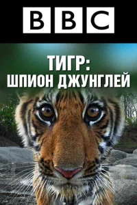  BBC: Тигр — Шпион джунглей  2008