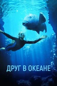  Друг в океане  2023