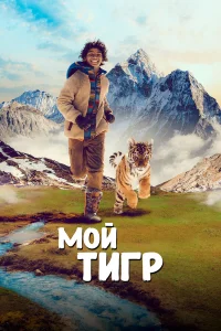  Мой тигр  2022