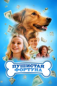 Пушистое состояние  2023