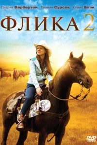  Флика 2  2010