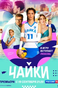  Чайки  2022