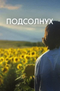  Подсолнух  2023