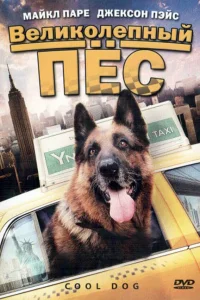 Великолепный пес  2010