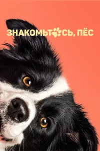  Знакомьтесь, пёс  2022