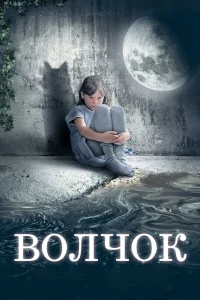  Волчок  2009