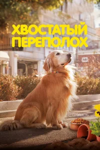  Хвостатый переполох  2024
