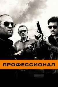  Профессионал  2011