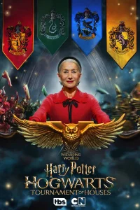  Гарри Поттер: Битва факультетов  2021