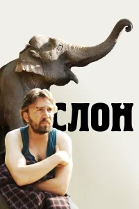  Слон  2010